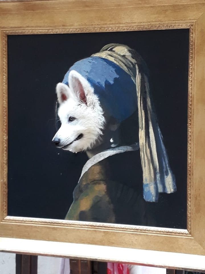 Когда закончится собачий беспредел в Abtswoude park?